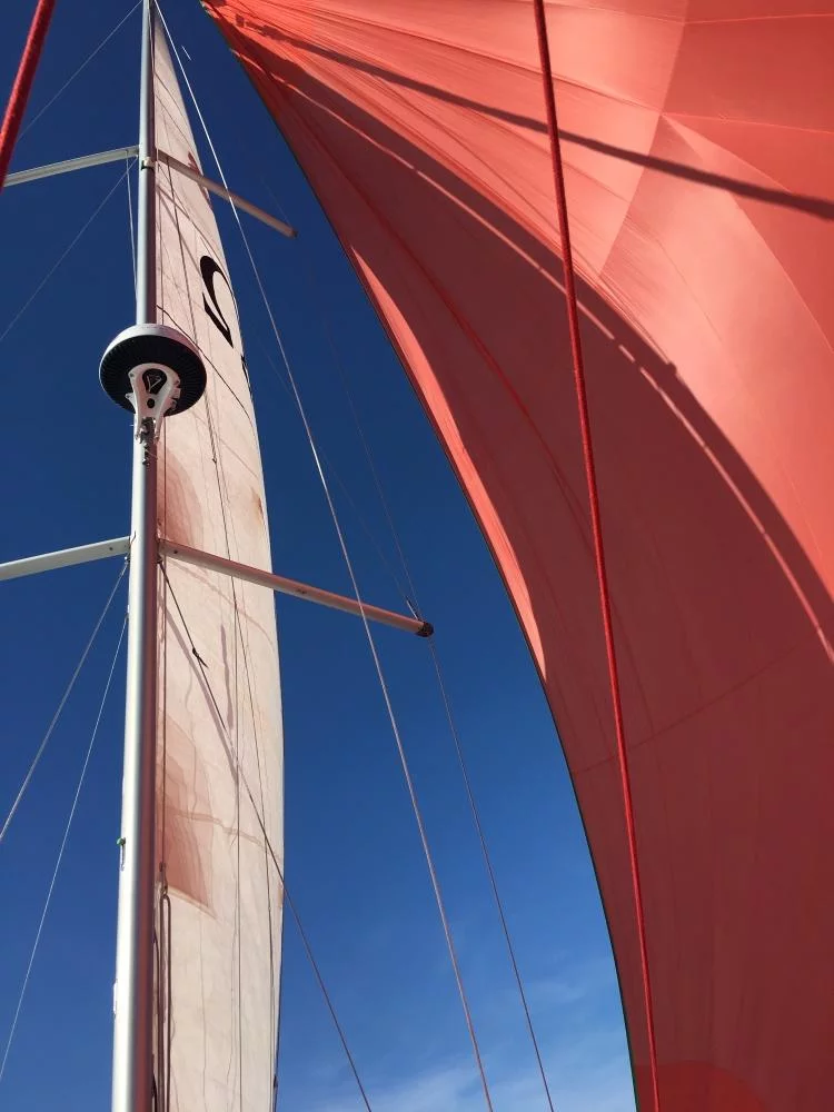 Oceanis 38 - 3 cab. (Omega)  - 11