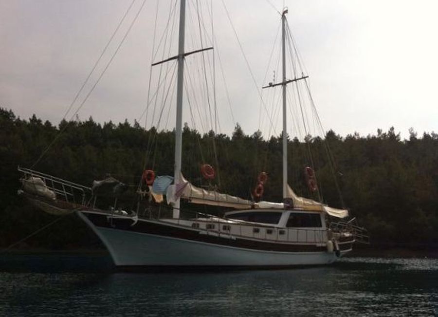 Photo #6 - Remo (Remo) in Bodrum - 30397