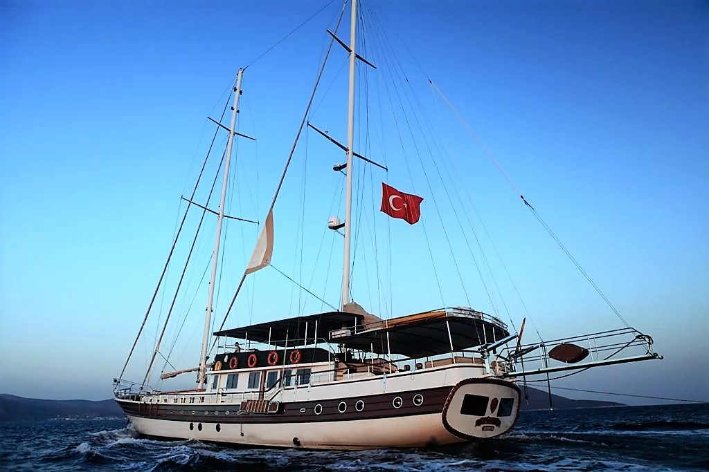 Oguz Bey (Oguz Bey)  - 2