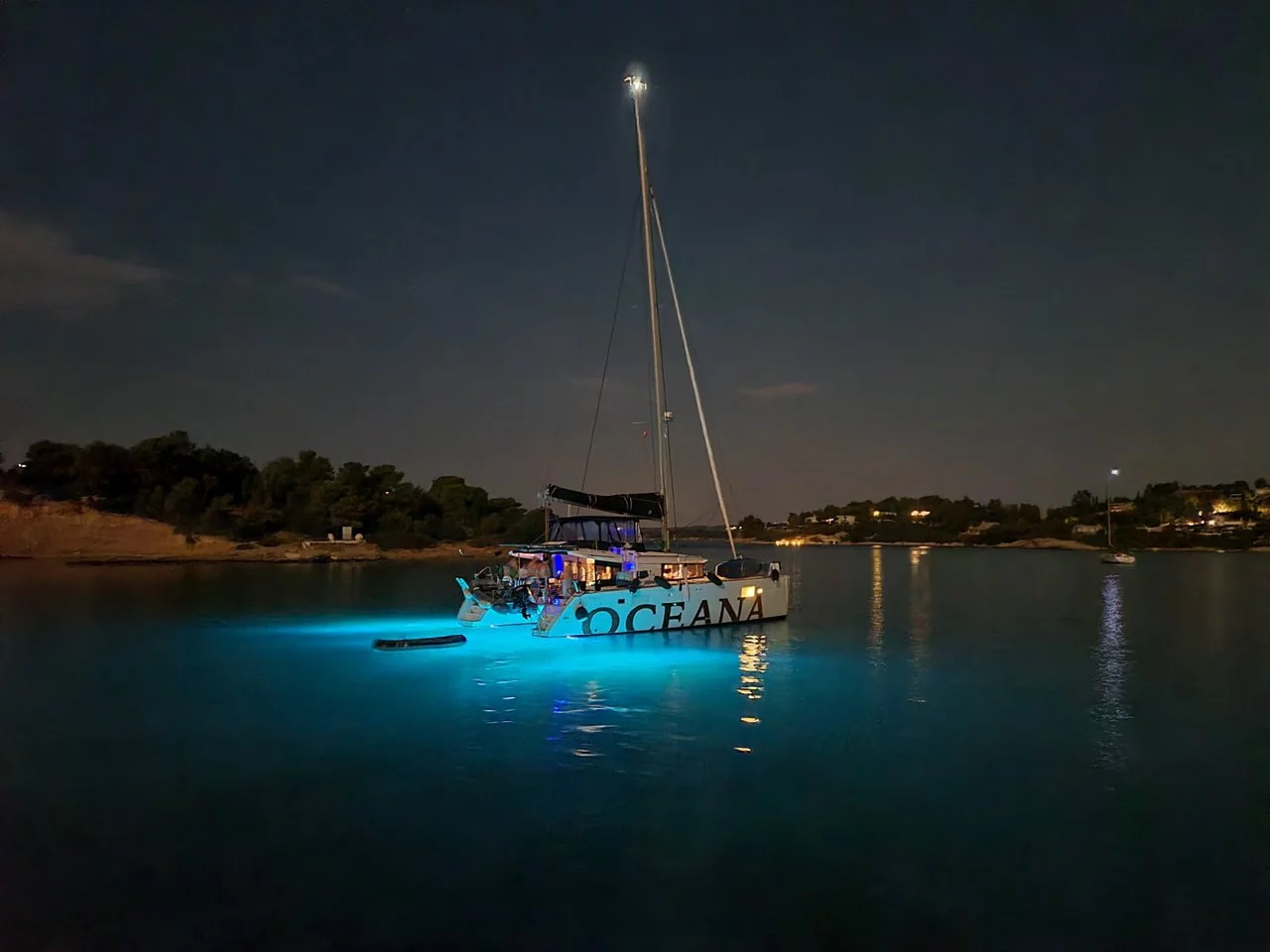 Lagoon 450 F - 4 + 1 cab. (Oceana)  - 15