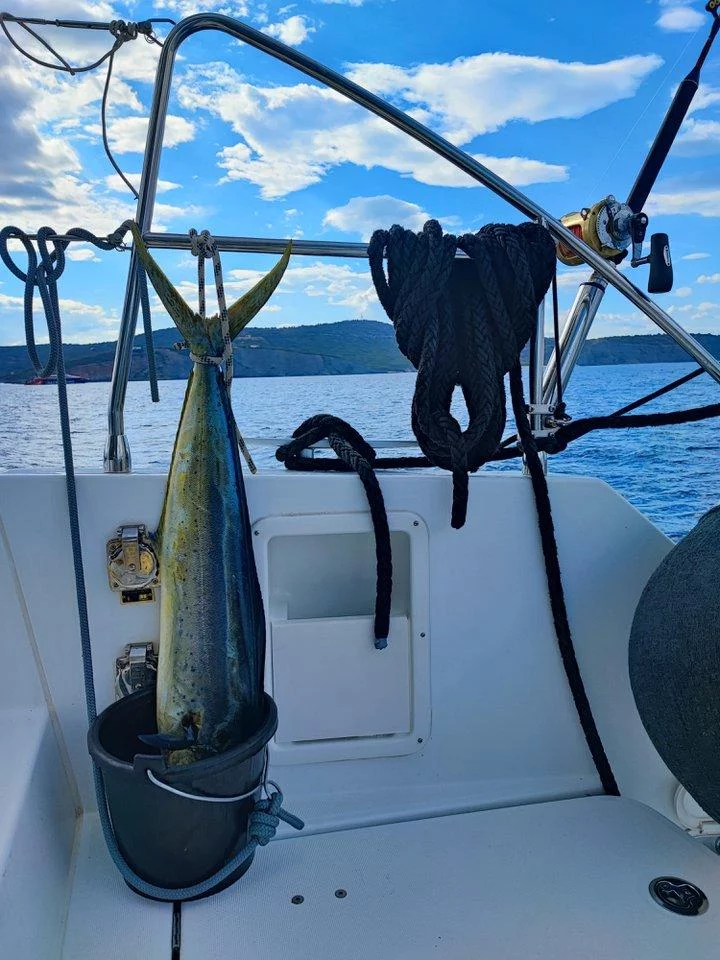 Lagoon 450 F - 4 + 1 cab. (Oceana)  - 18