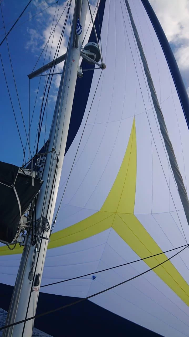 Lagoon 450 F - 4 + 1 cab. (Oceana)  - 2
