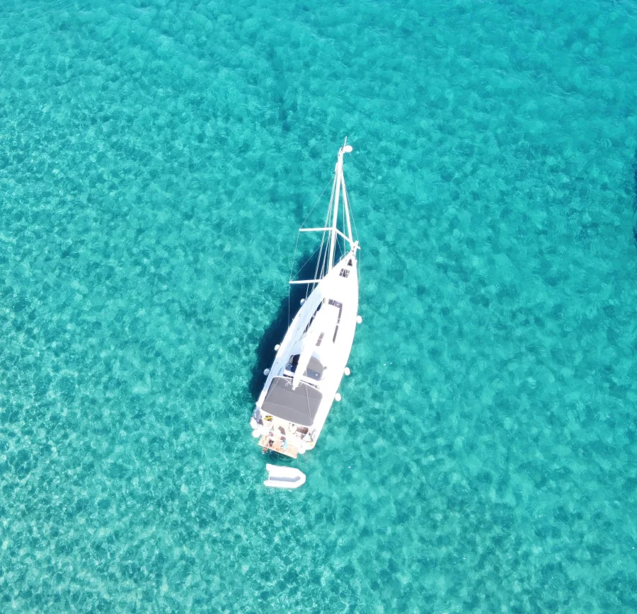 Oceanis 51.1 - 5 + 1 cab. (Lupo di Mare)  - 11