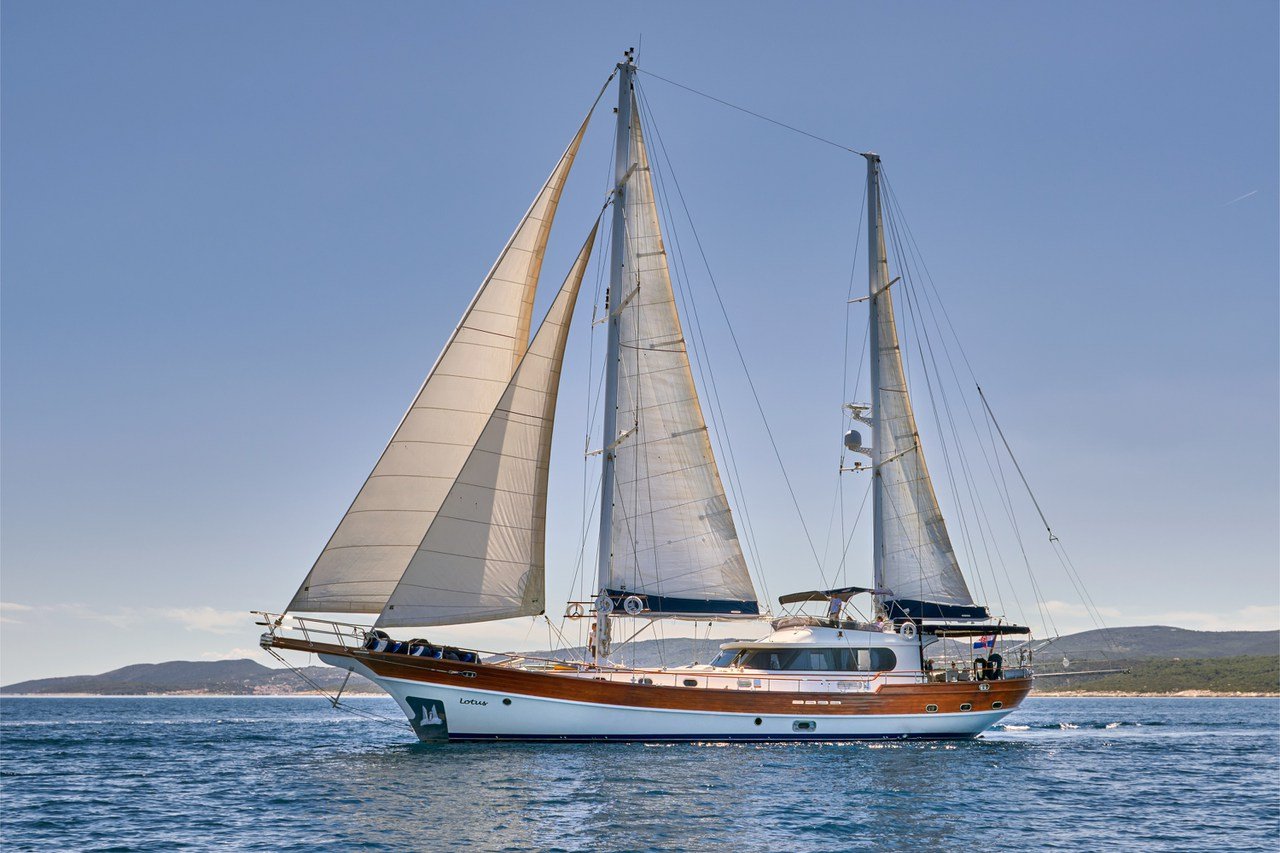 Photo #1 - Lotus (Lotus) in Split - 32286