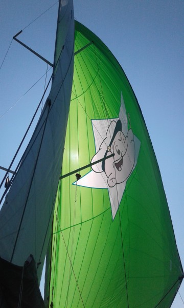 Photo #10 - Sun Odyssey 349 (Popeye) in Pirovac - 32759