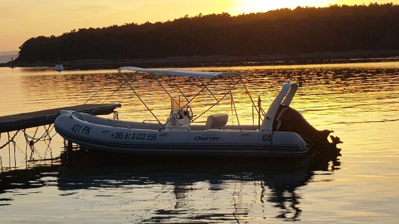 Zodiac Madline 2 (Zodiac Madline 2)  - 1