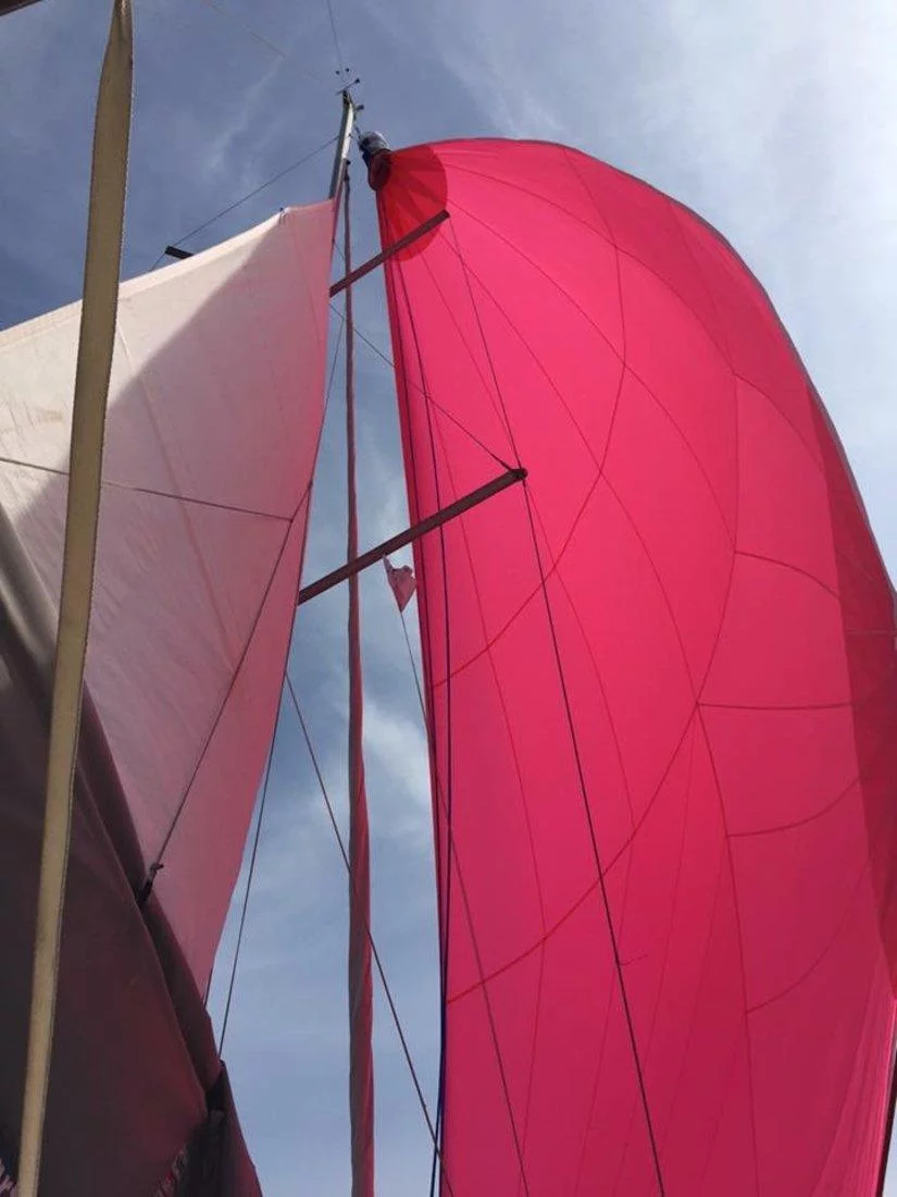 Oceanis 37 (Wind of Change)  - 5