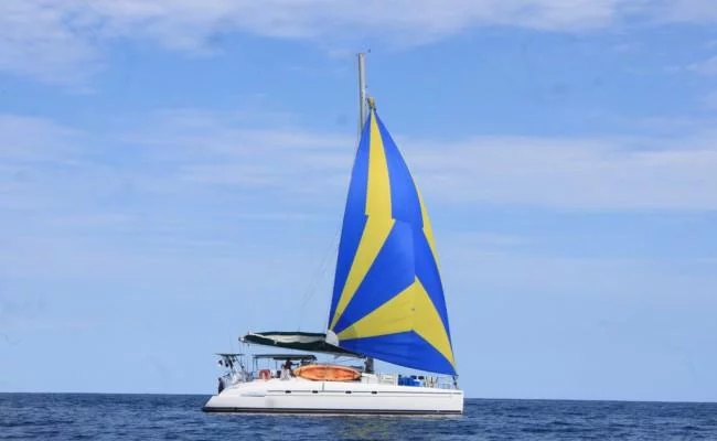 Bahia 46 - 3 + 1 cab. (Nikita)  - 3