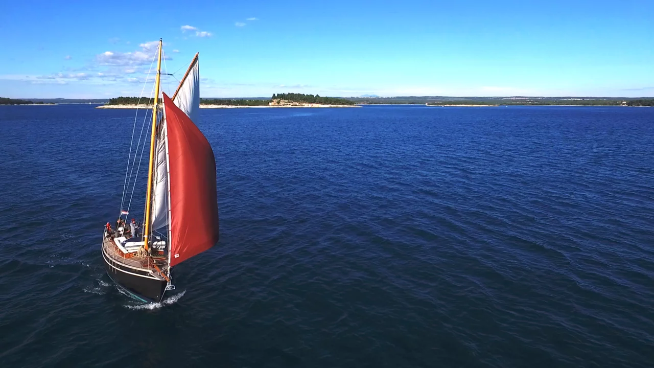 Pilot Cutter (Black Bird)  - 2