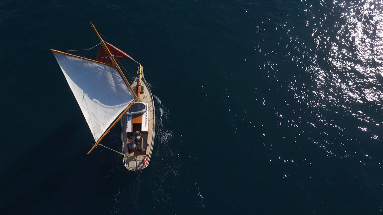 Photo #4 - Pilot Cutter (Black Bird) en Pula - 33998