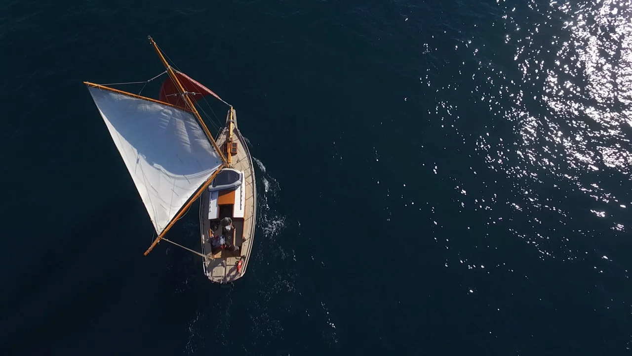 Pilot Cutter (Black Bird)  - 3