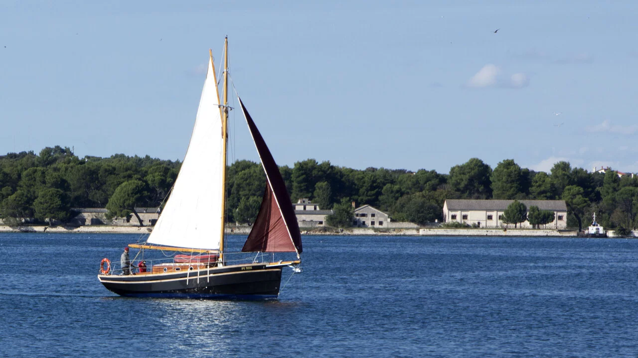 Pilot Cutter (Black Bird)  - 5