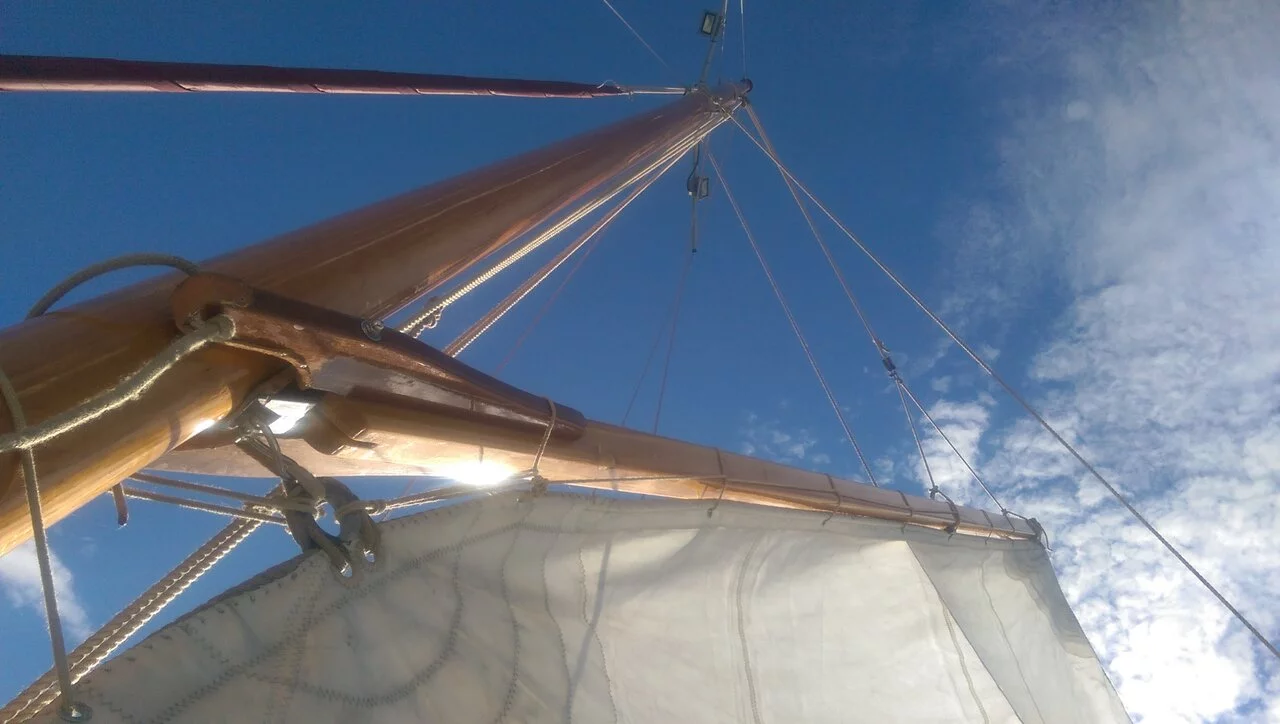 Pilot Cutter (Black Bird)  - 7