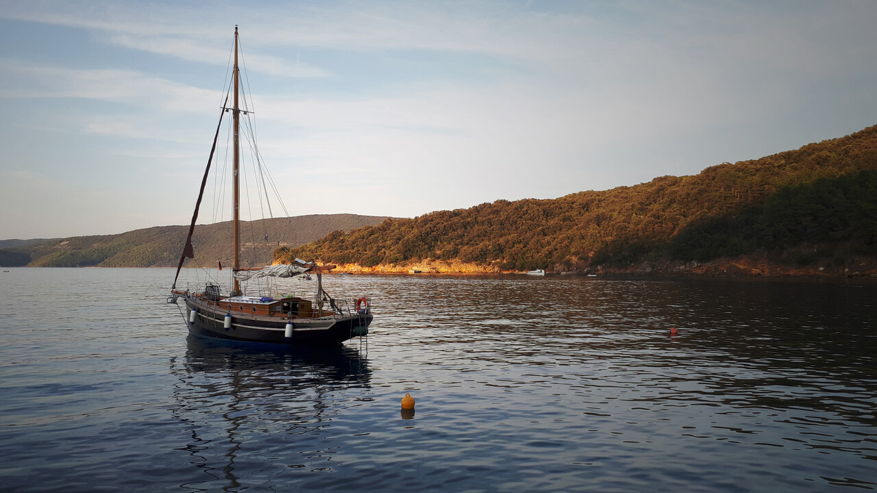 Photo #9 - Pilot Cutter (Black Bird) en Pula - 33998