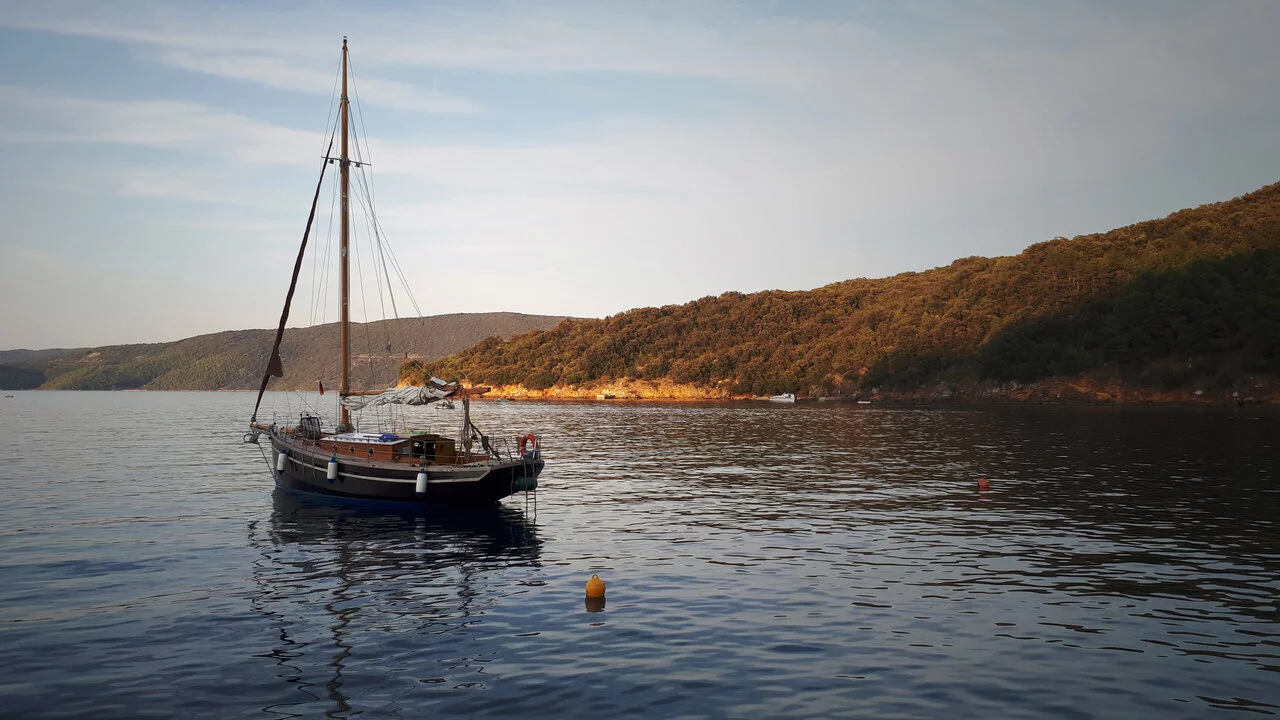 Pilot Cutter (Black Bird)  - 8