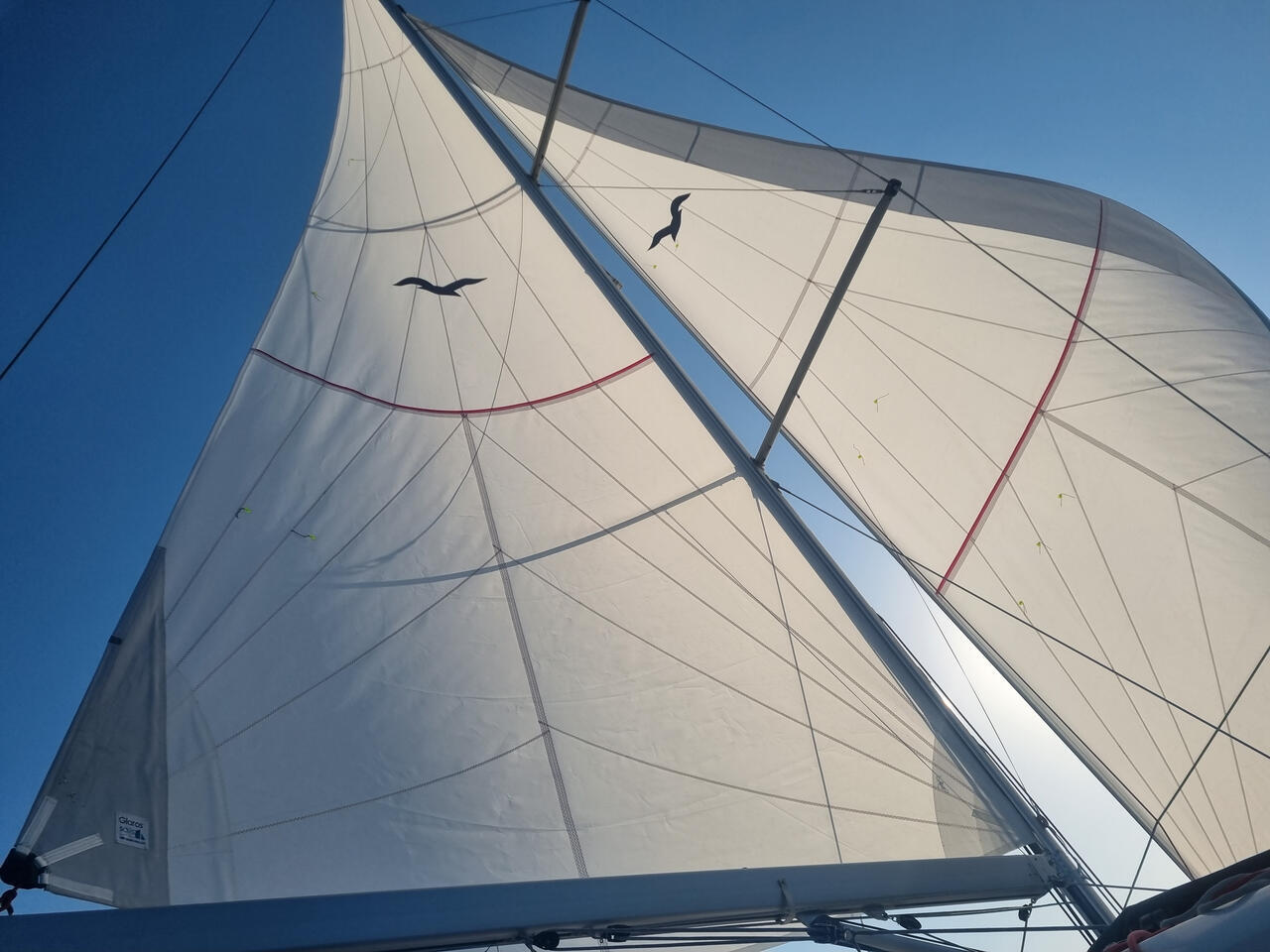 Sun Odyssey 440 - 4 cab. — photo 7