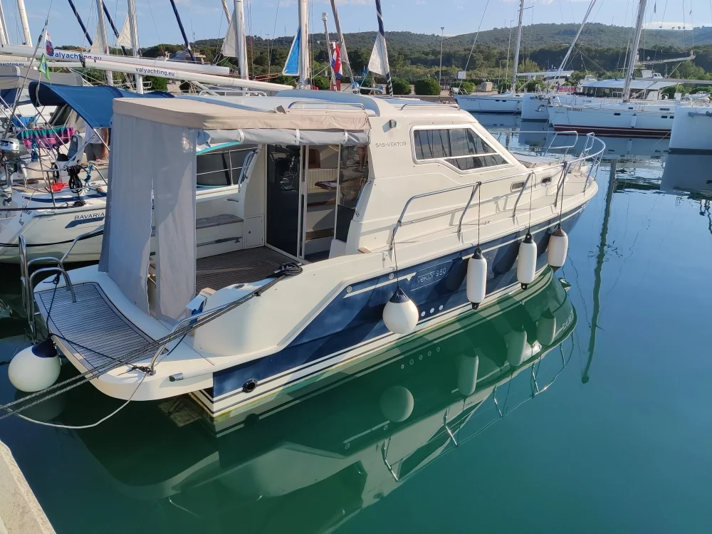 Vektor 950 (Dionis)  - 3