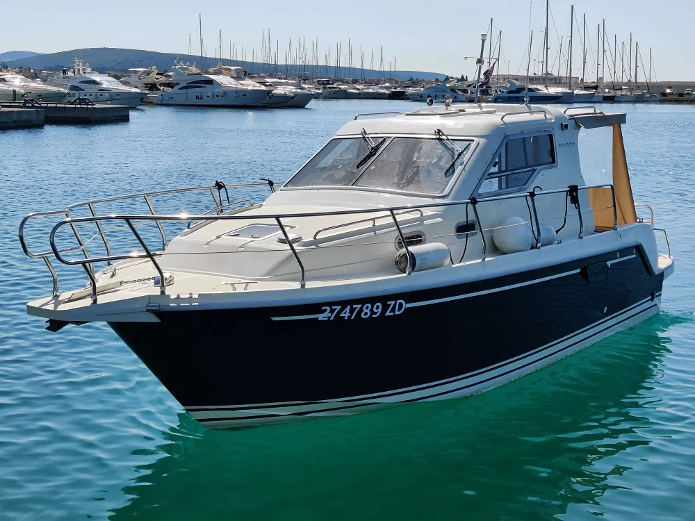 Vektor 950 (Dionis)  - 6