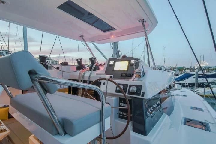 Leopard 50 (Hakuna Matata)  - 10