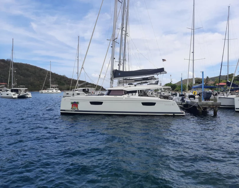 Fountaine Pajot Saona 47 - 5 cab. (Parrot Ice)  - 0