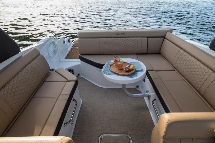 Sea Ray SDX 270 (Happy Hours)  - 12