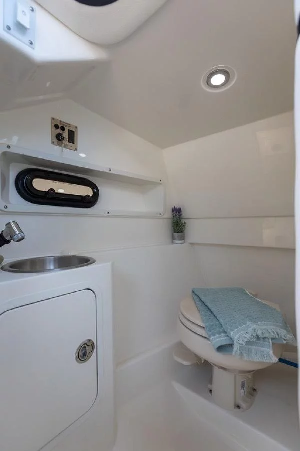 Sea Ray SDX 270 (Happy Hours)  - 15