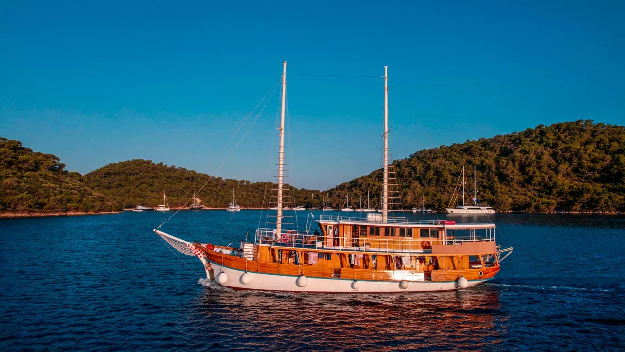 Novi Dan (Novi Dan)  - 2