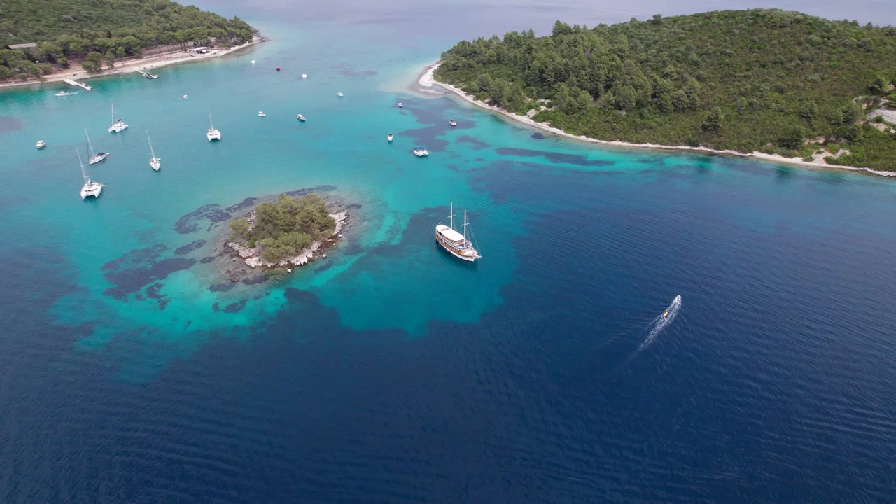 Novi Dan (Novi Dan)  - 4