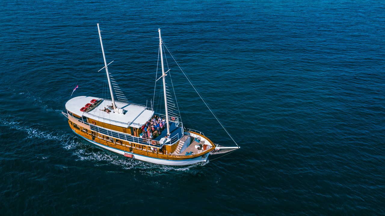 Photo #7 - Novi Dan (Novi Dan) in Razanj - 37811