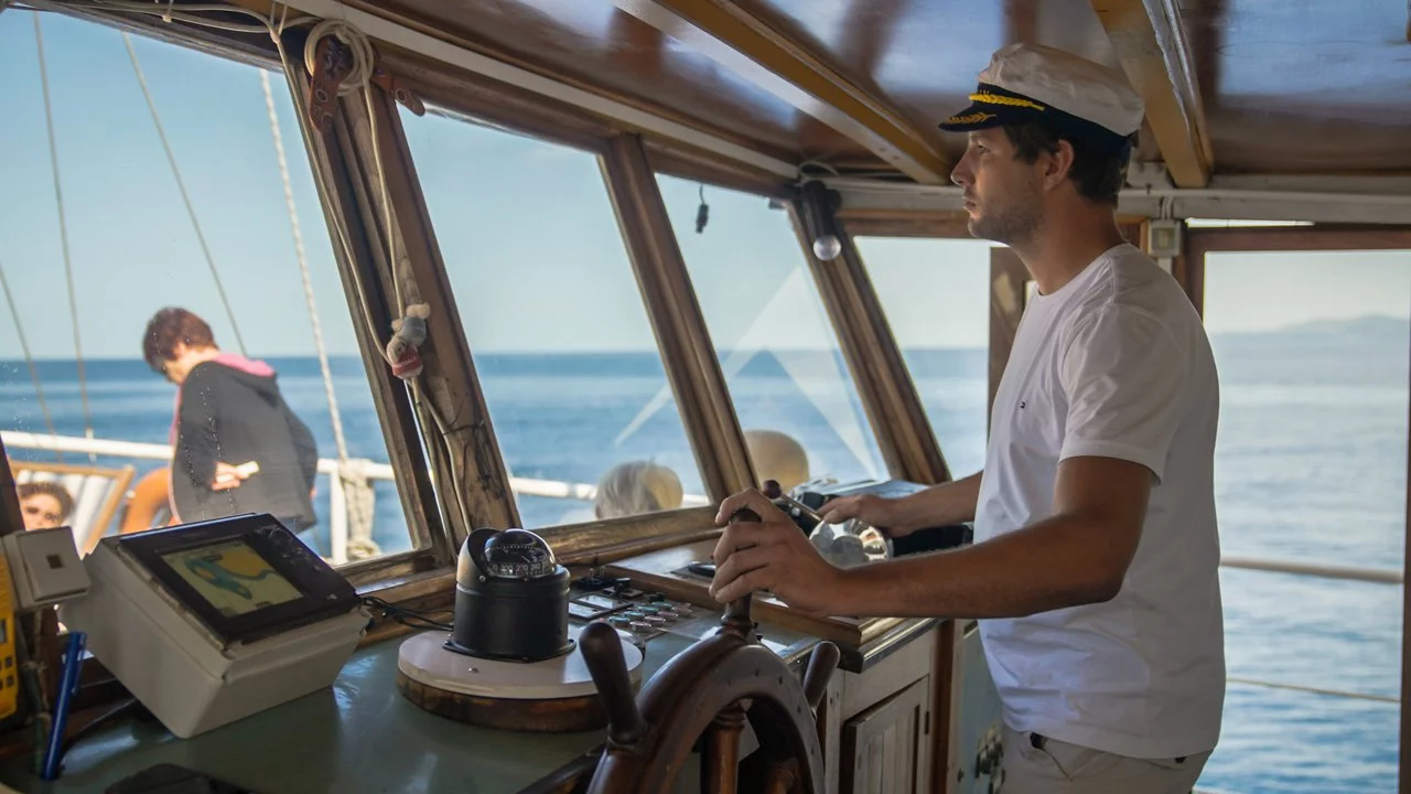 Novi Dan (Novi Dan)  - 22