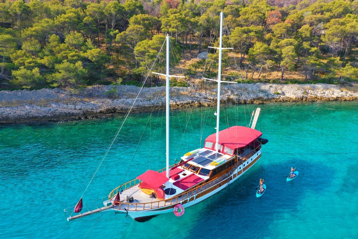 Photo #2 - Tango (Tango) in Kastela - 37862