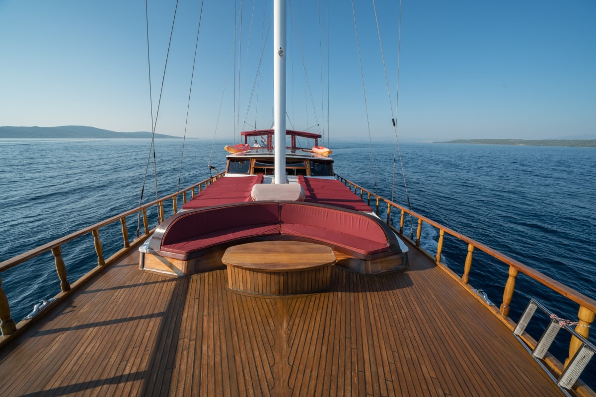 Photo #5 - Tango (Tango) in Kastela - 37862