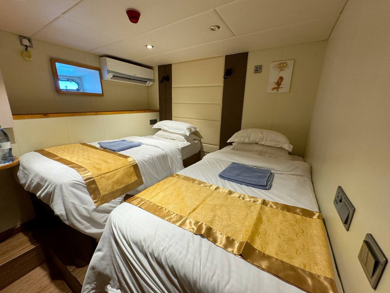 Photo #22 - North Seven (North Seven Liveaboard) in Male - 38555