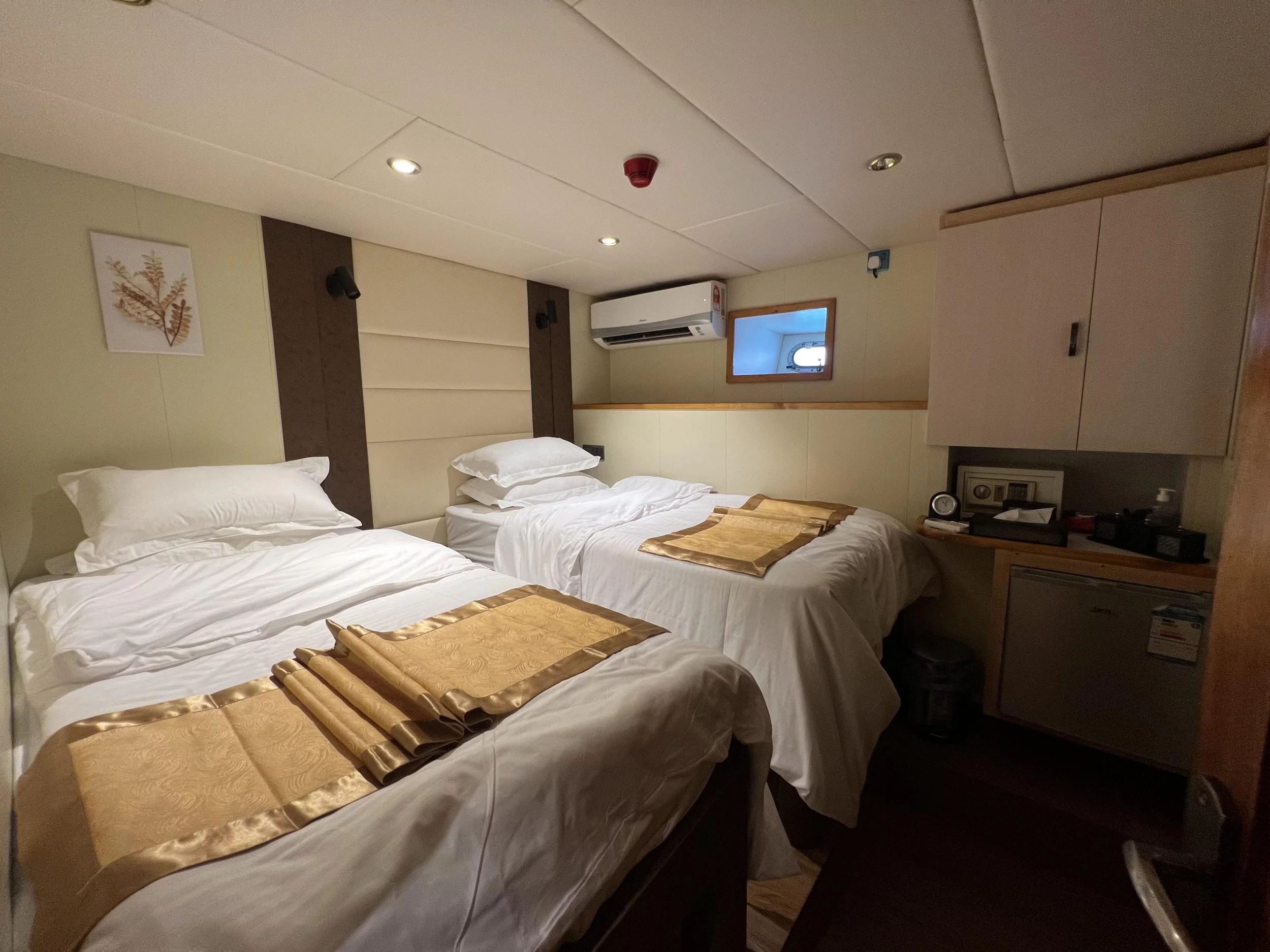 North Seven (North Seven Liveaboard)  - 26
