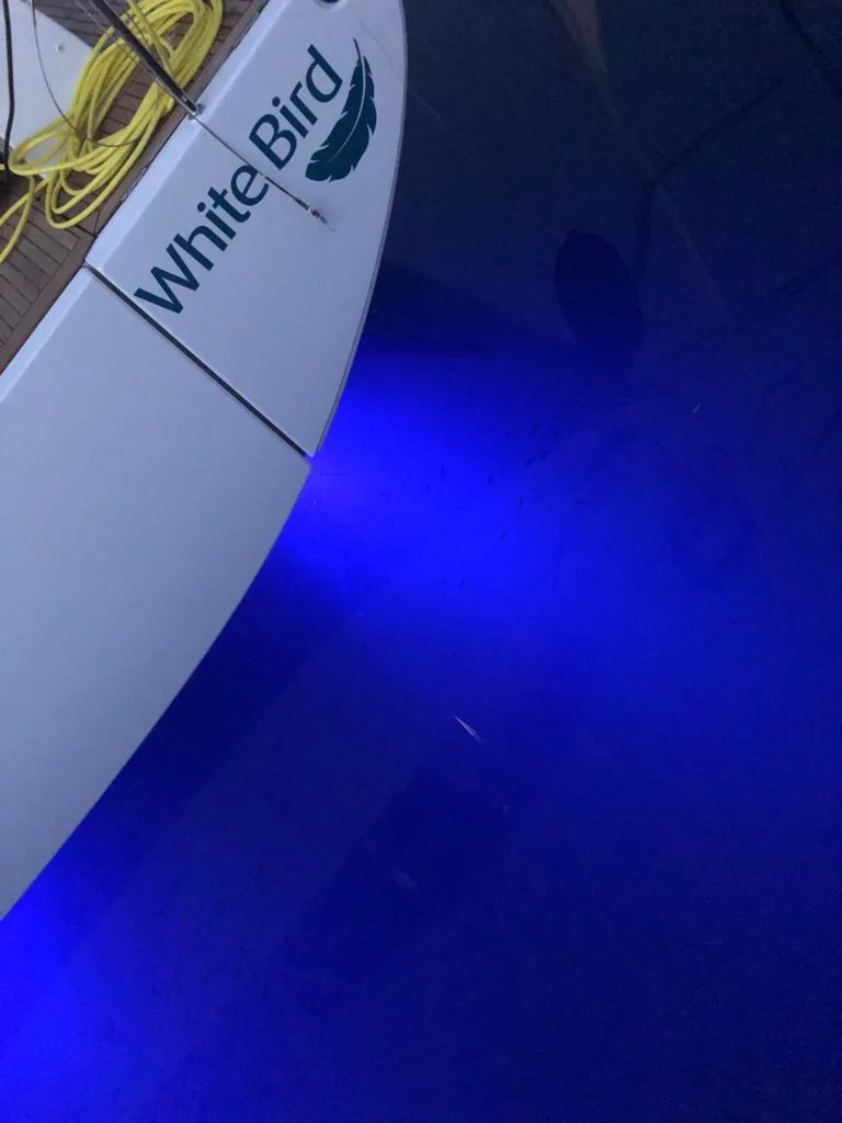 Oceanis Yacht 54 (White Bird)  - 21