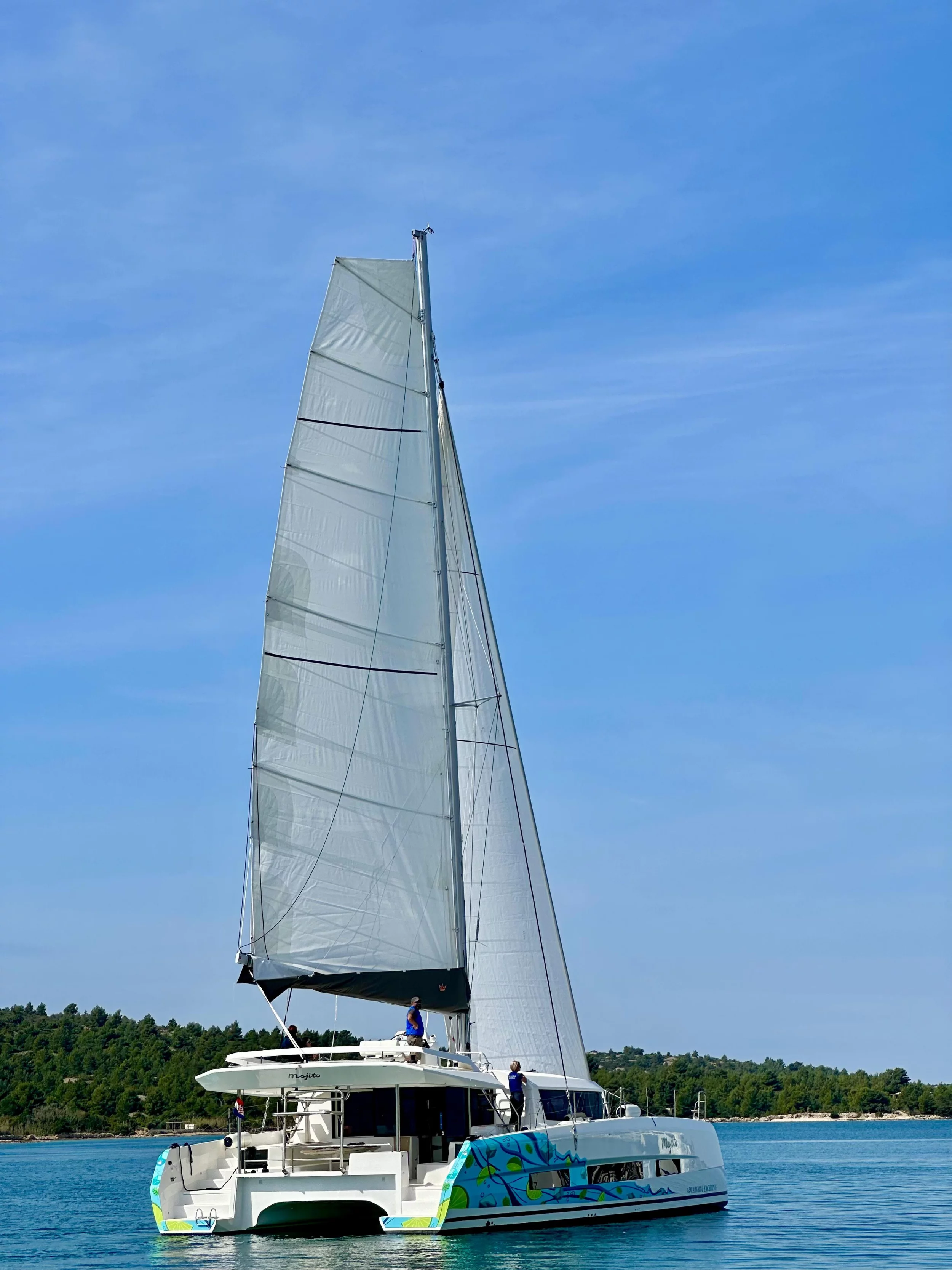 Dufour 48 Catamaran - 5 + 1 cab. (Mojito)  - 1