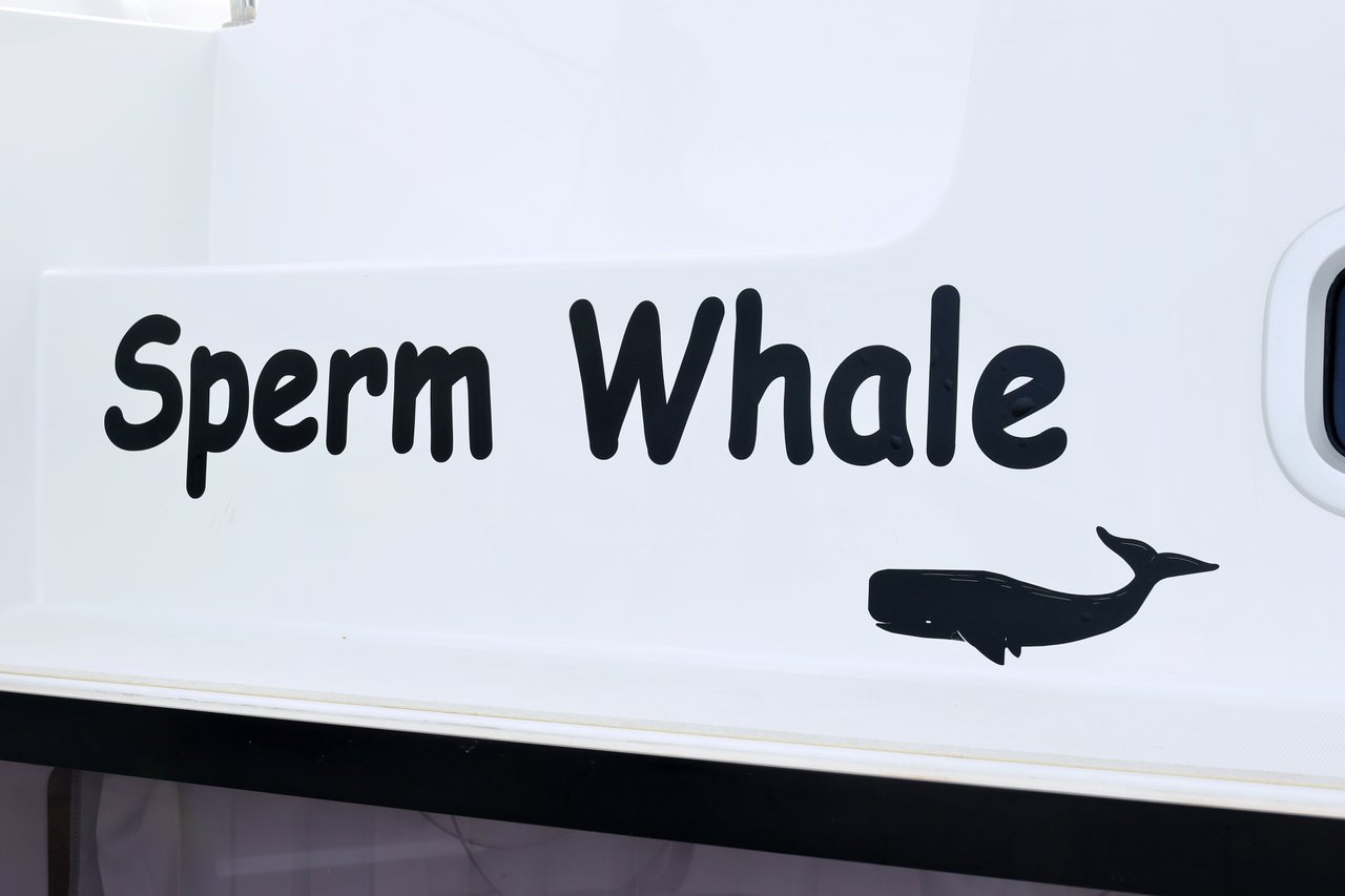 Photo #40 - Lagoon 42 - 4 + 2 cab. (Sperm Whale) in Sukosan - 39443