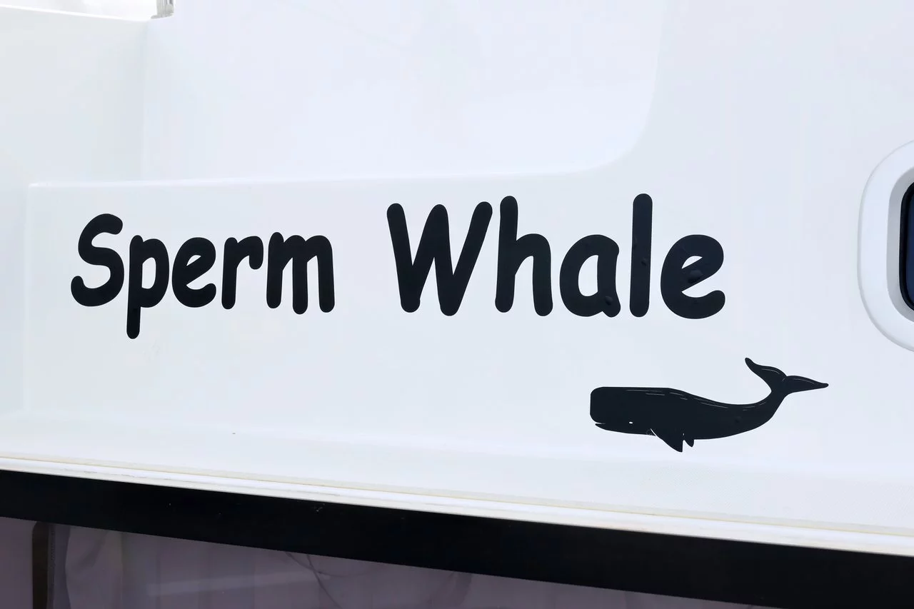 Lagoon 42 - 4 + 2 cab. (Sperm Whale)  - 39