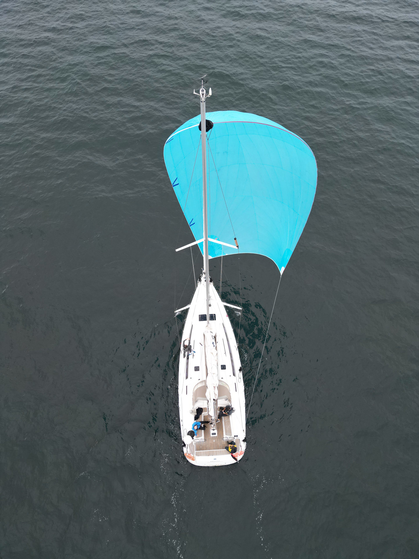 Photo #5 - Bavaria Cruiser 46 - 4 cab. (Momo) in  - 39601