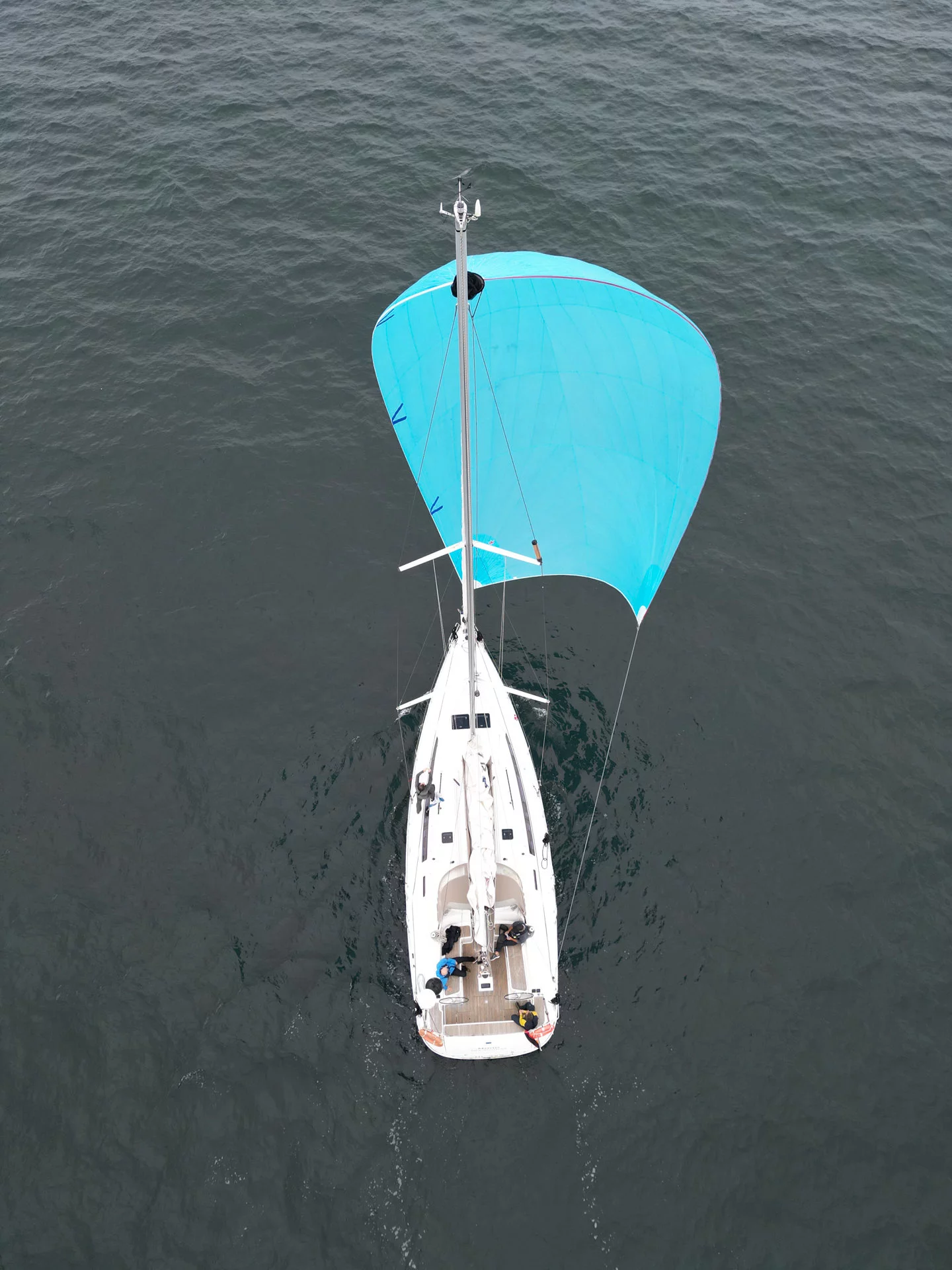 Bavaria Cruiser 46 - 4 cab. (Momo)  - 4