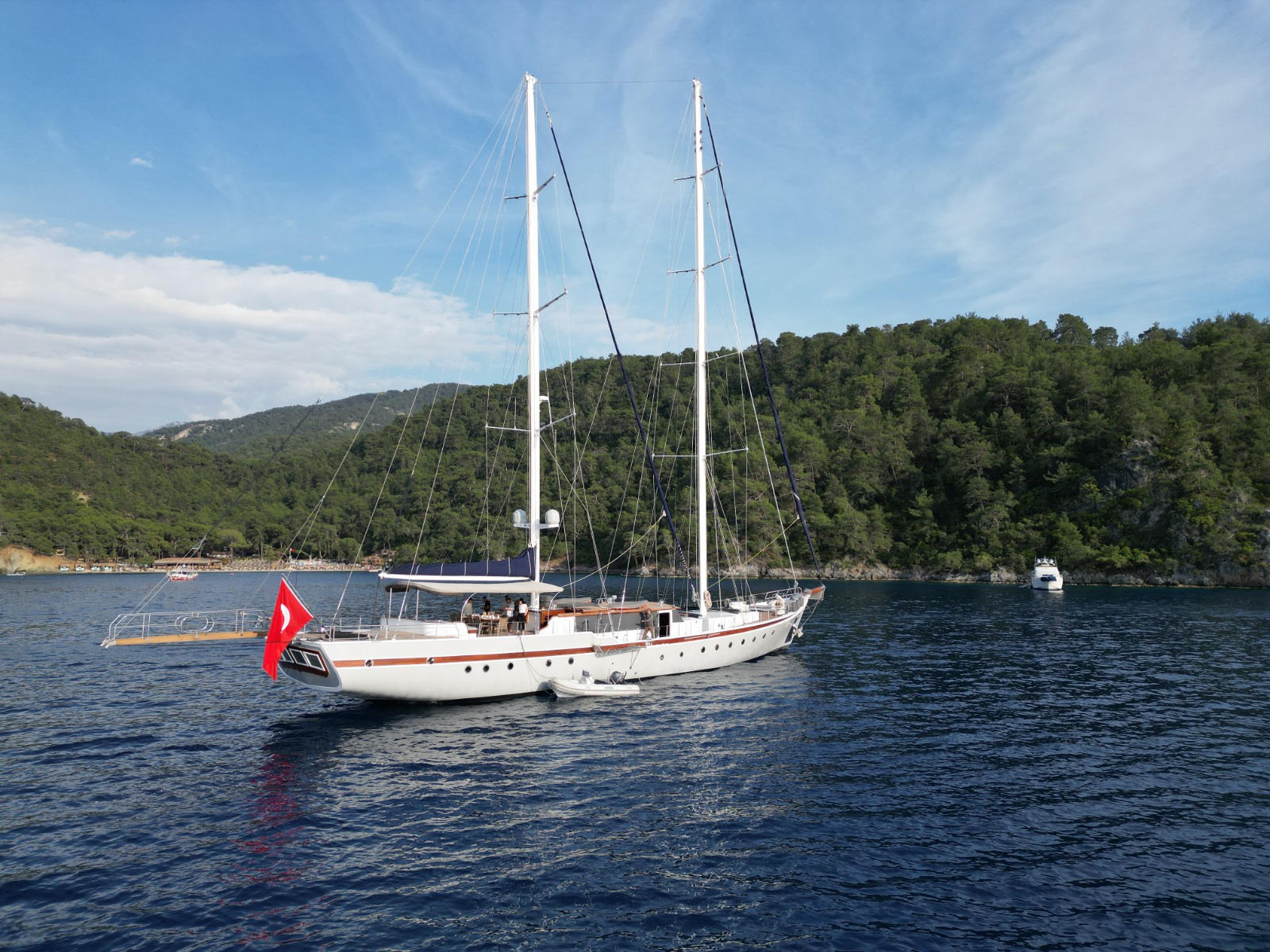 Photo #2 - Nautilus (Nautilus) in Fethiye - 39854