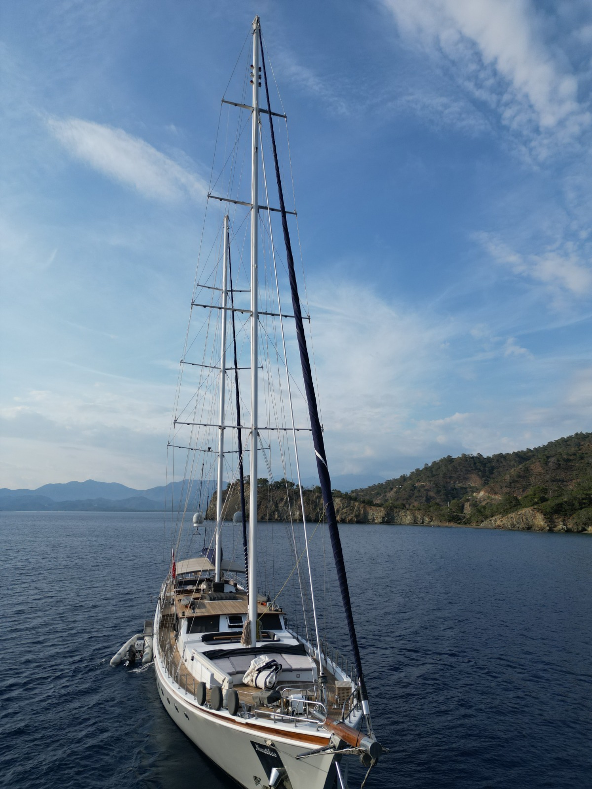 Photo #3 - Nautilus (Nautilus) in Fethiye - 39854