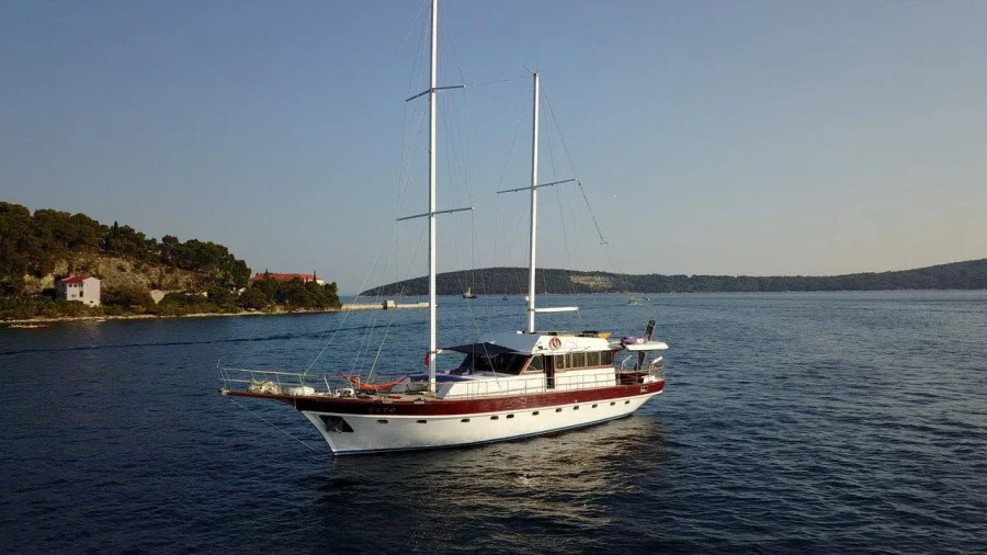 Vito (Vito)  - 4