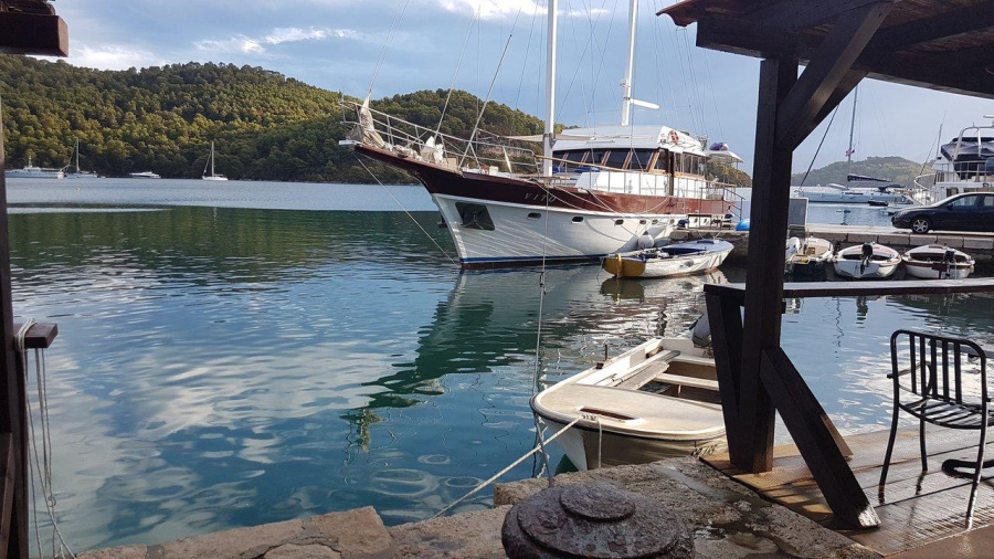 Photo #10 - Vito (Vito) in Trogir - 40222