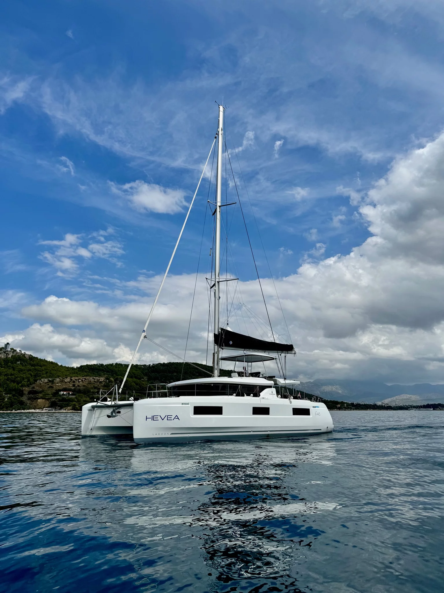 Lagoon 46 OW - 3 + 2 cab. (Hevea)  - 2