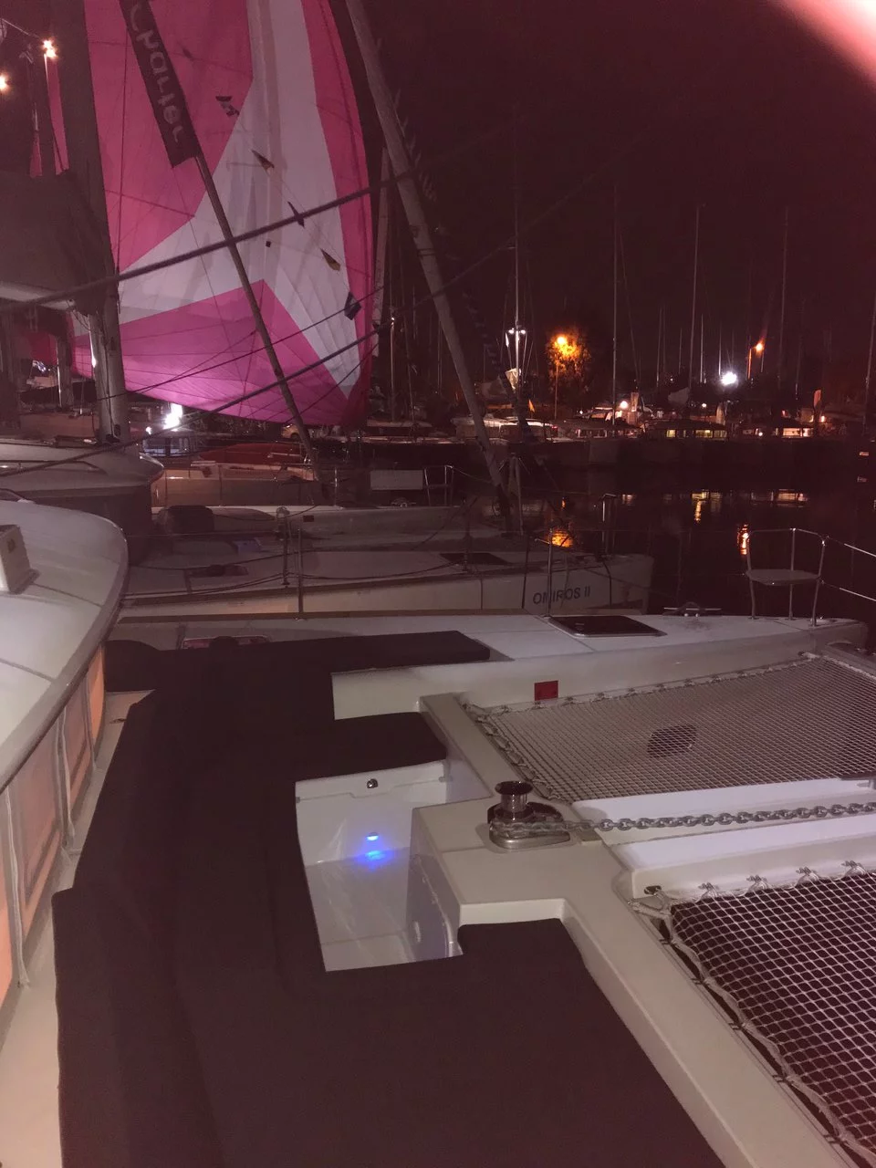 Lagoon 450 F - 4 + 2 cab. (Solstice)  - 3