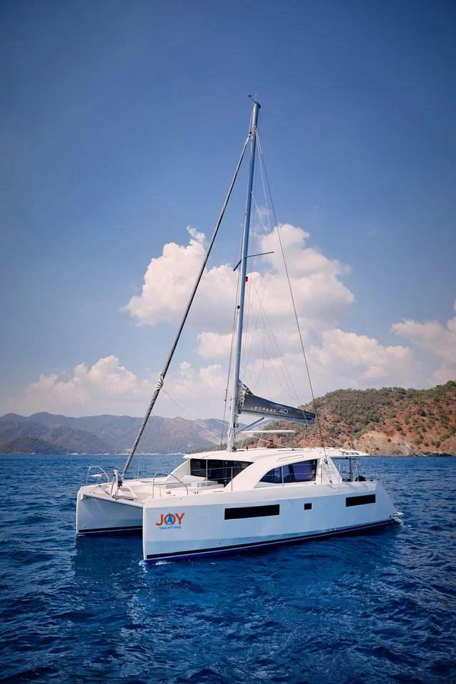 Leopard 40 (Panda Joy)  - 4