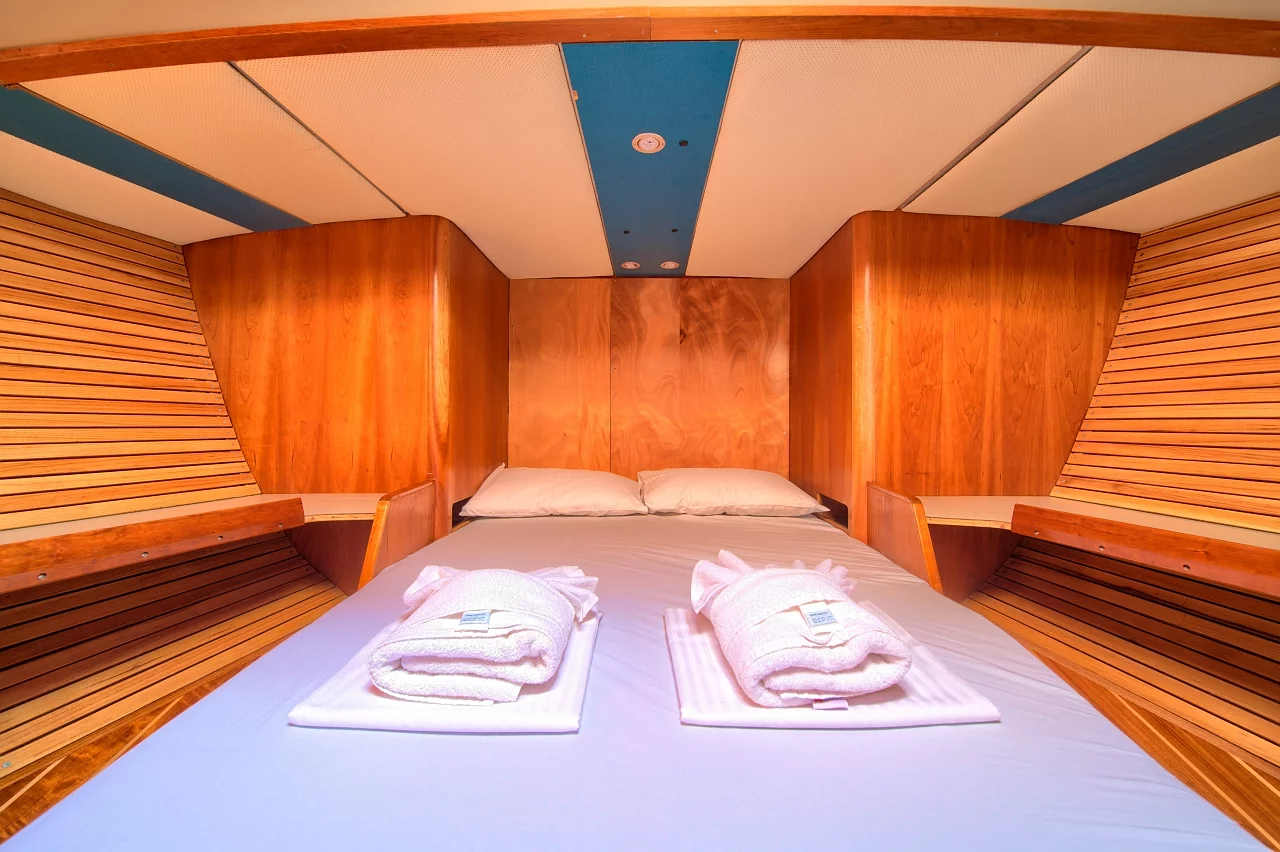 Dolphin 50 (Amica)  - 27