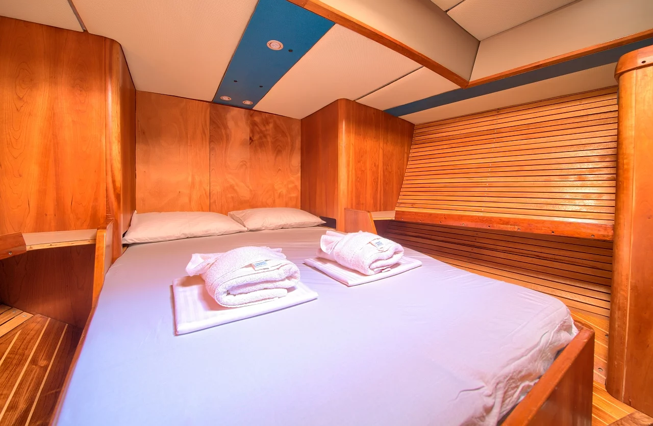 Dolphin 50 (Amica)  - 28