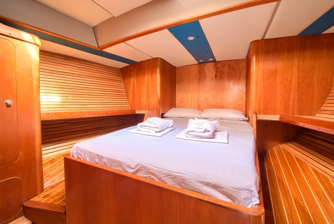 Dolphin 50 (Amica)  - 29